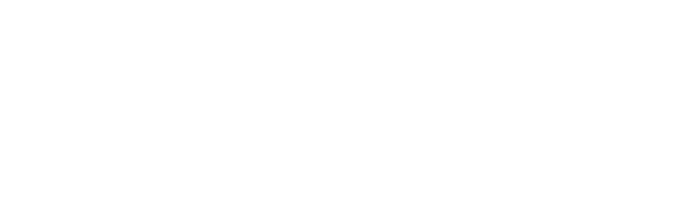 Staelens logo